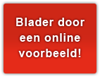 Online Voorbeeld