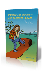 Resultaten boeken in een complexe wereld